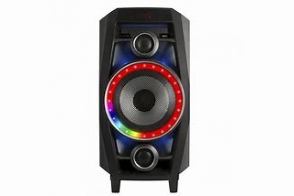 ALTAVOZ NGS WILD DISCO 80W 2 MICRO INAL.